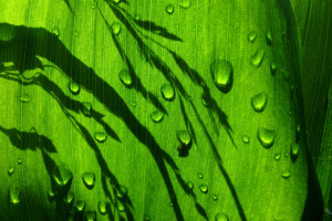 谁能制裁早田希娜看完这比赛，我只能说，祝他们好运！