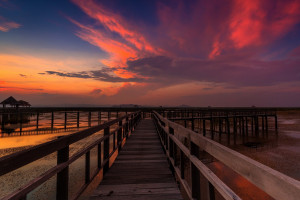 感动！这座体育场见证了无数辉煌，它与城市共同成长！