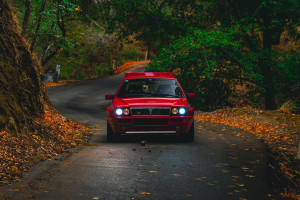 从亚洲杯到世界杯，这些赞助商的“野心”有多大