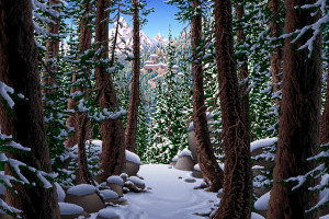 球迷的狂欢！NBA全明星赛，一起为热爱呐喊！