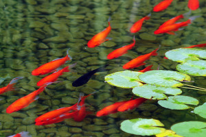 万众瞩目!暗区主播赛,他们是游戏里的真正明星! 万众瞩目!暗区主播赛,他们是游戏里的真正明星!